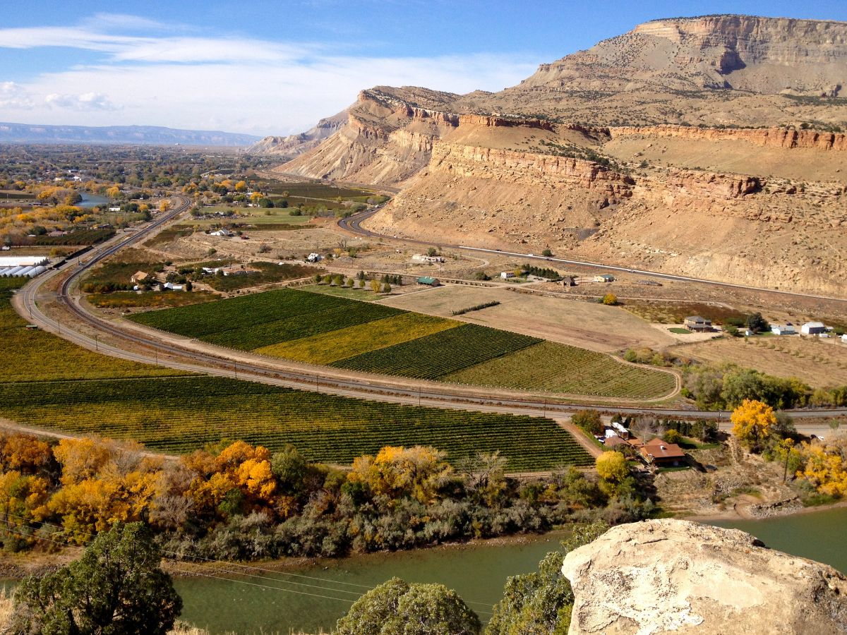Palisade