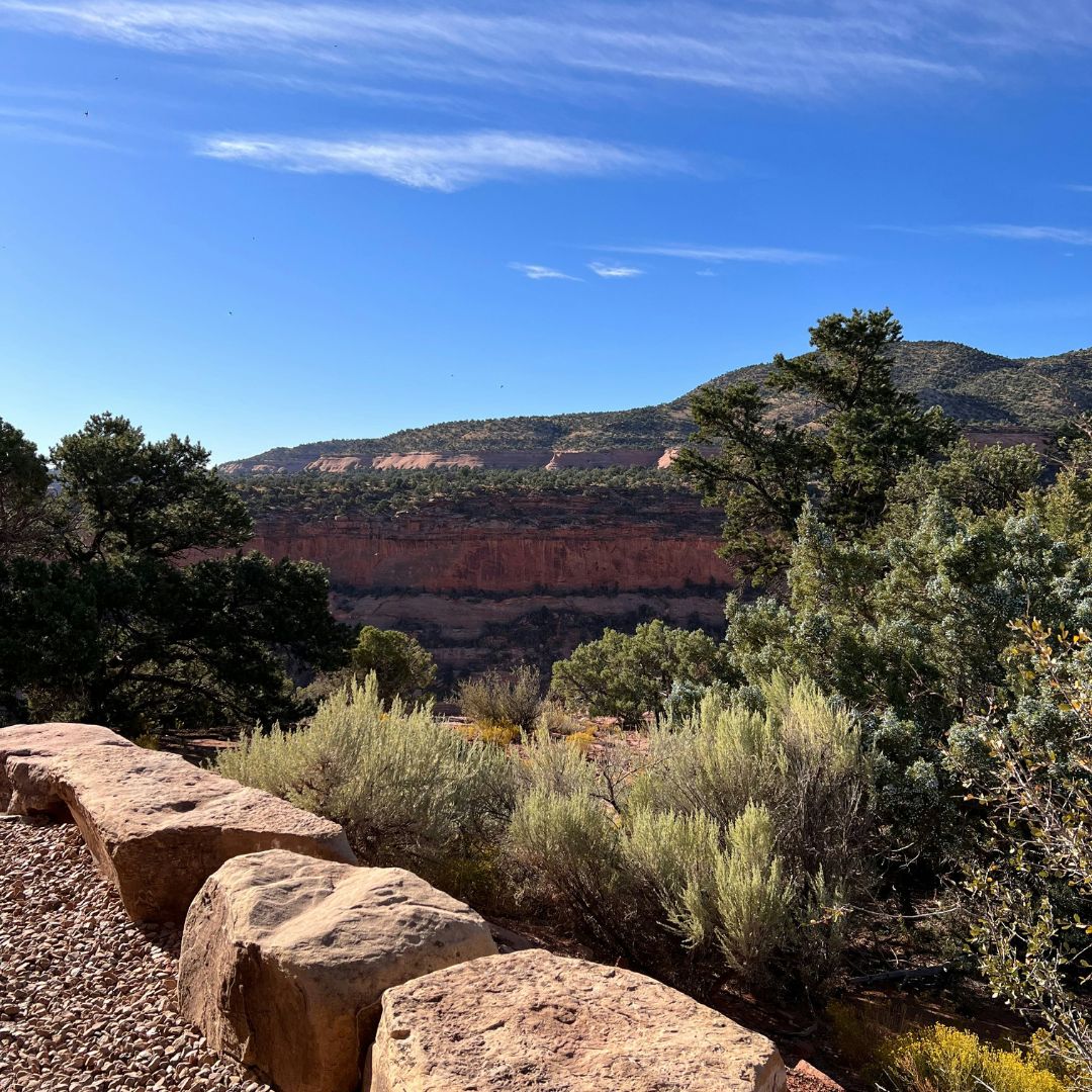 grand junction outdoors