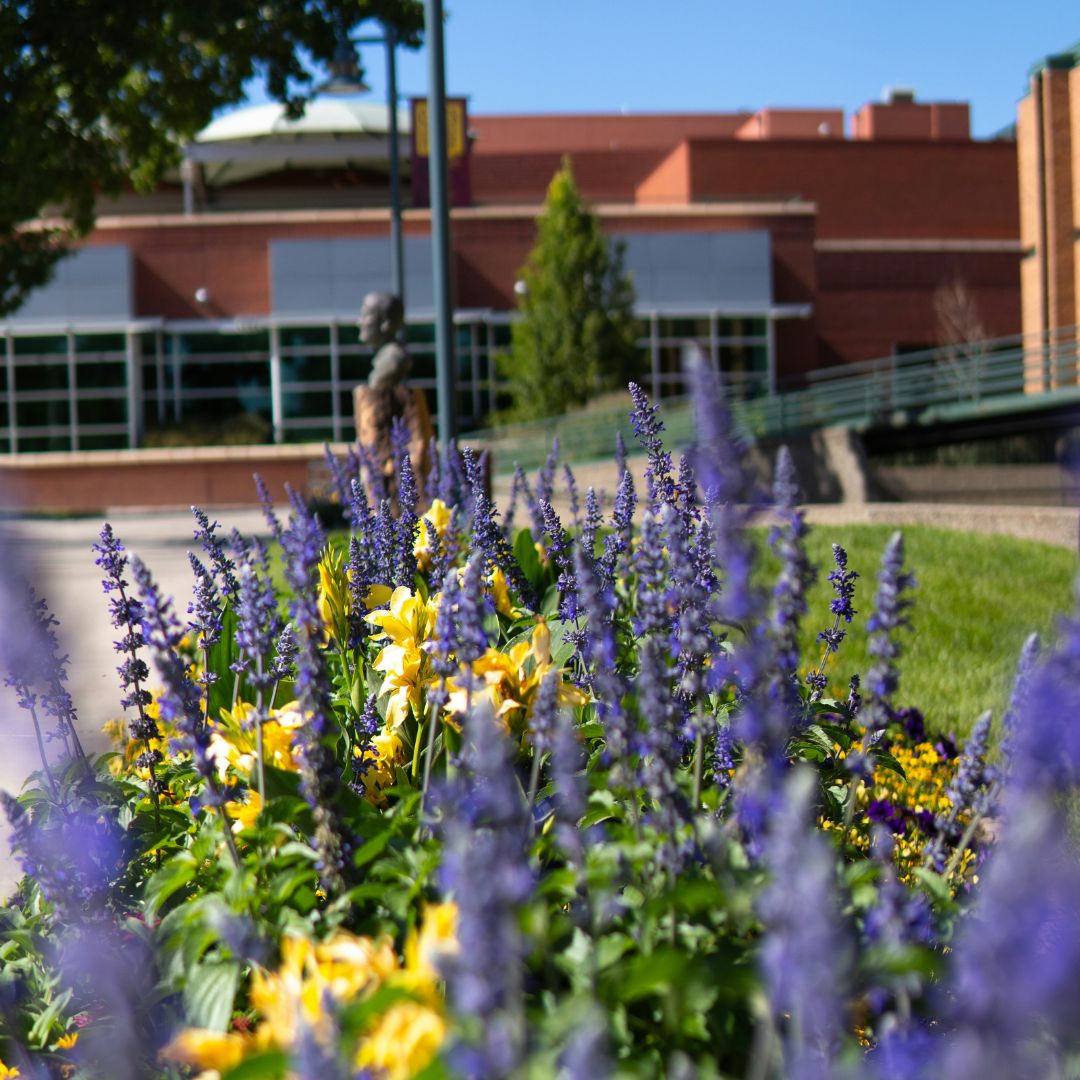grand junction school